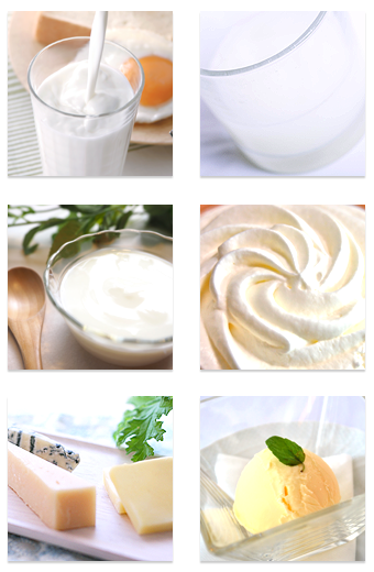 写真の説明を入れます